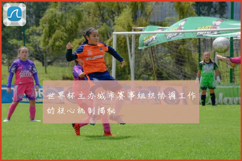 世界杯主办城市赛事组织协调工作的核心机制揭秘