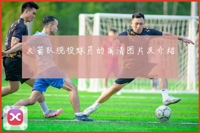 火箭队现役球员的高清图片及介绍
