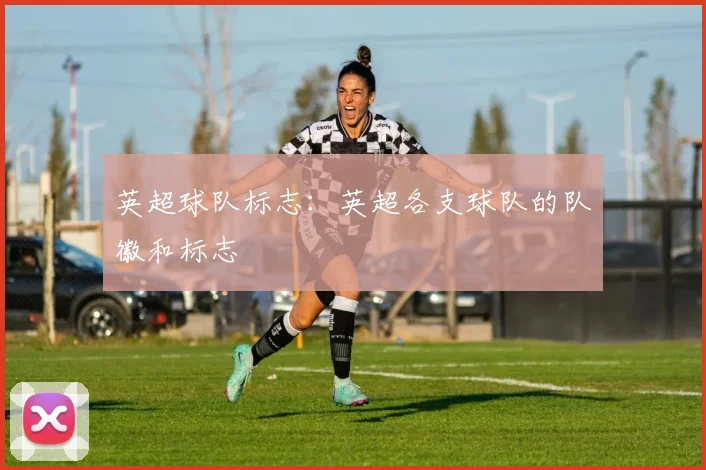英超球队标志：英超各支球队的队徽和标志