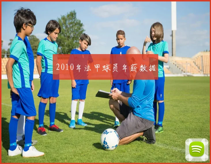 2010年法甲球员年薪数据