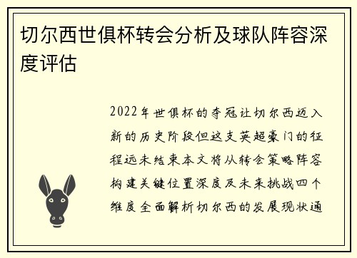 切尔西世俱杯转会分析及球队阵容深度评估